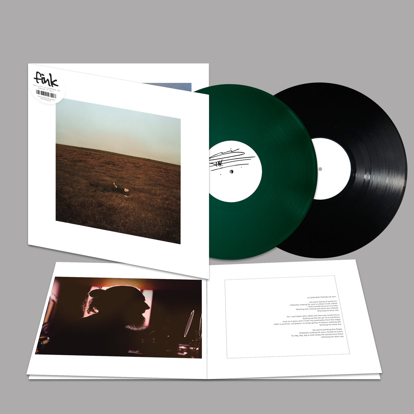 The City Is Coming To Erase It All - 2LP gatefold gatefold (“Spring Fern”)