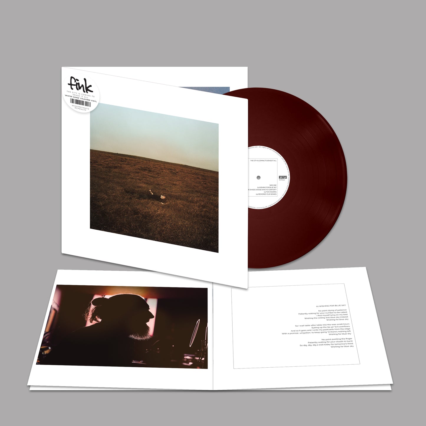 The City Is Coming To Erase It All  - coloured LP gatefold (“Winter Gorse”)